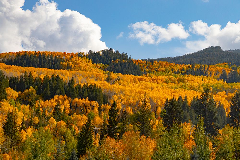 Two Creeks area of Aspen Snowmass ski resort in autumn art print by Mallorie Ostrowitz for $57.95 CAD