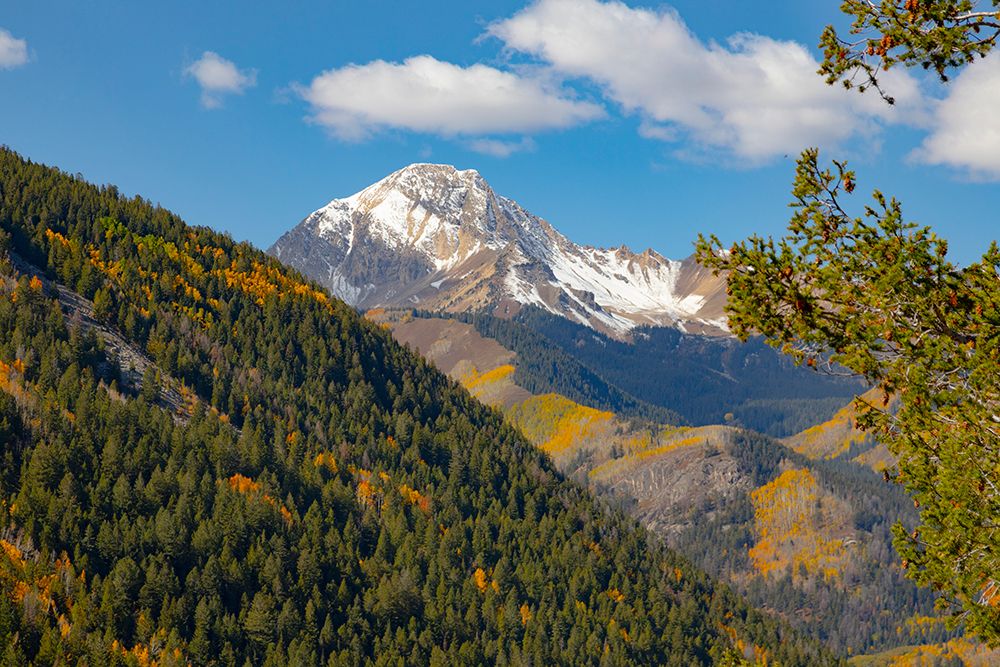 Maroon Bells-Snowmass Wilderness in Aspen art print by Mallorie Ostrowitz for $57.95 CAD