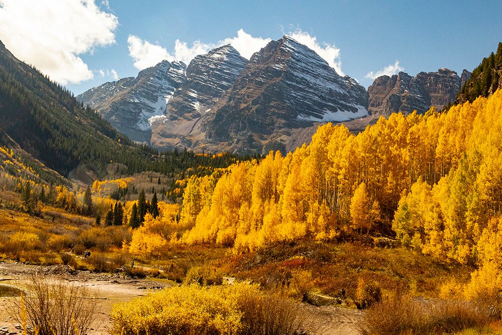 Maroon Bells-Snowmass Wilderness in Aspen-Colorado in autumn art print by Mallorie Ostrowitz for $57.95 CAD