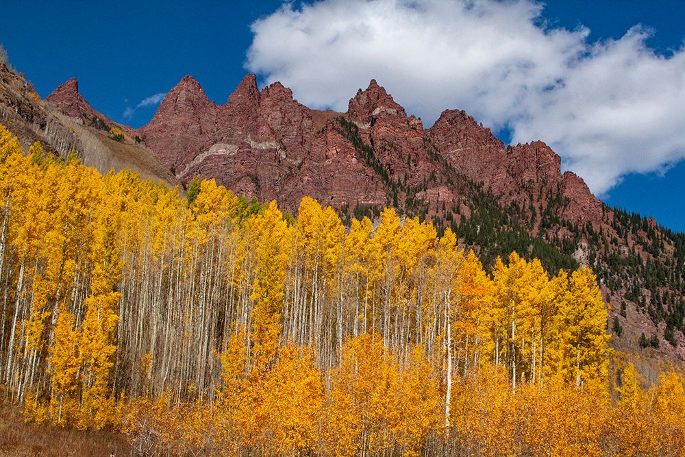 Maroon Bells-Snowmass Wilderness of Colorado-red rock cliffs art print by Mallorie Ostrowitz for $57.95 CAD