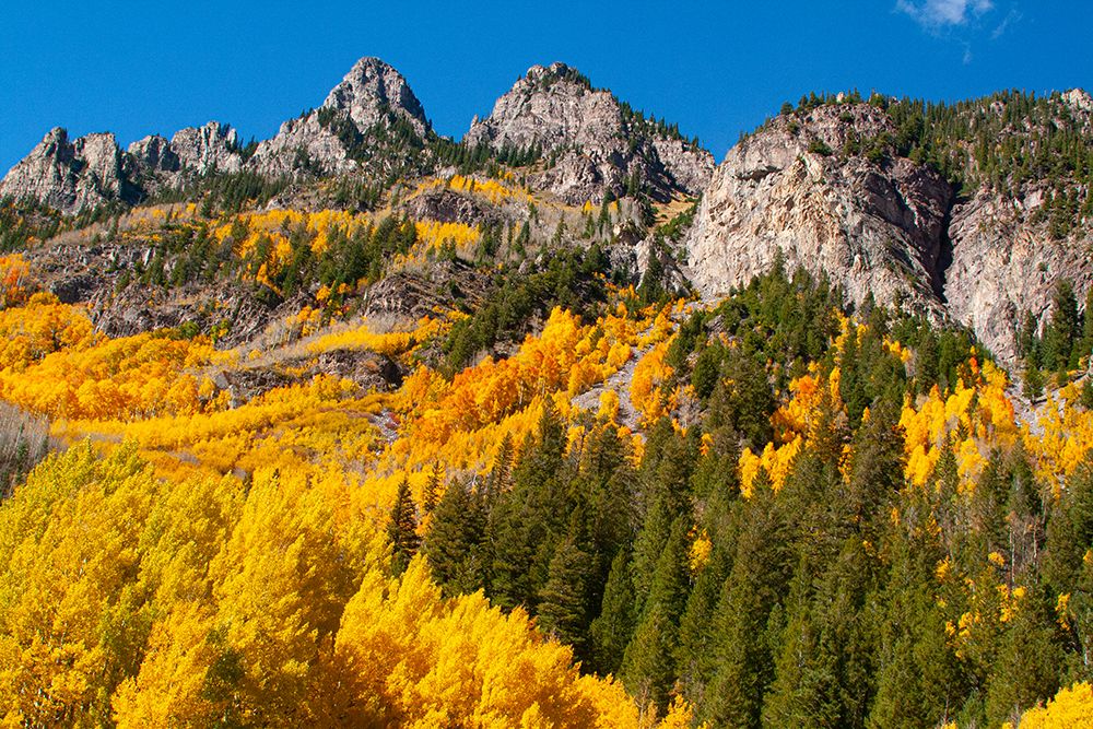 Aspen-Colorado Maroon Bells-Snowmass Wilderness art print by Mallorie Ostrowitz for $57.95 CAD