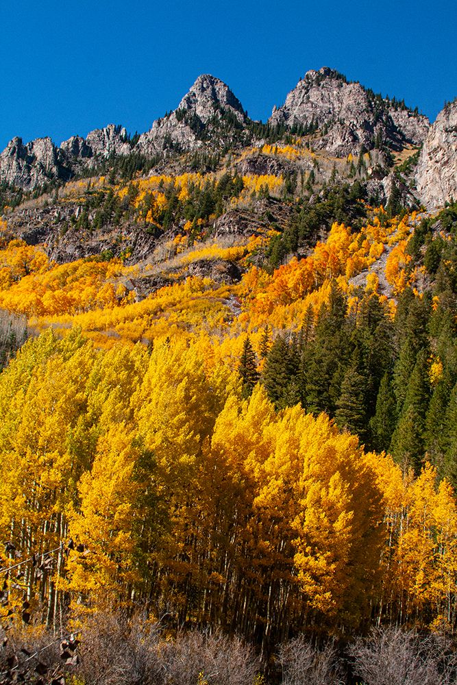 Maroon Bells-Snowmass Wilderness in autumn art print by Mallorie Ostrowitz for $57.95 CAD