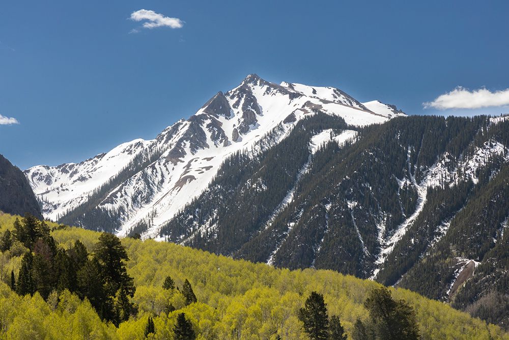 Rocky Mountain vista from Lizard Head Pass, Telluride, Colorado, USA. art print by Roddy Scheer for $57.95 CAD