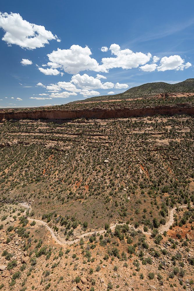 Canyon Rim Trail, Colorado National Monument, Colorado, USA. art print by Roddy Scheer for $57.95 CAD