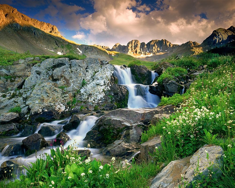 A spring cascade with white wildflowers in American Basin in the Colorado Rocky Mountains art print by Steve Mohlenkamp for $57.95 CAD