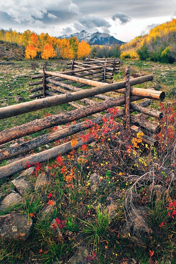 A log fence leads to the horizon on Dallas divide near Telluride in the Colorado Rocky Mountains art print by Steve Mohlenkamp for $57.95 CAD