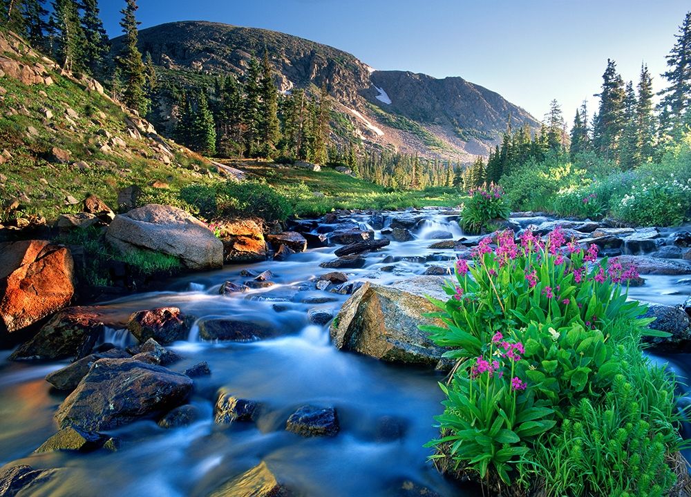 Fresh Rocky Mountain spring runoff cascades past wildflowers in bloom art print by Steve Mohlenkamp for $57.95 CAD