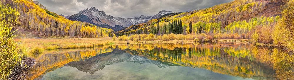 Mt Snaffles and a sea of gold Aspen trees reflects in a large pond in autumn art print by Steve Mohlenkamp for $57.95 CAD
