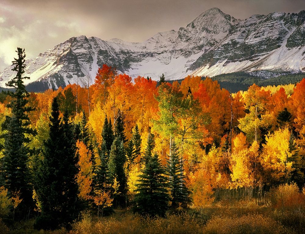 Wilson Peak near Telluride in the Colorado Rocky Mountains art print by Steve Mohlenkamp for $57.95 CAD