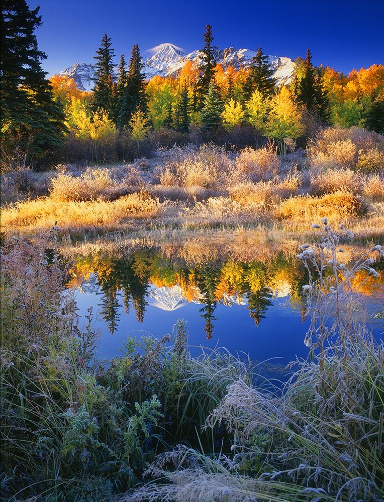 Wilson Peak near Telluride in the Colorado Rocky Mountains art print by Steve Mohlenkamp for $57.95 CAD