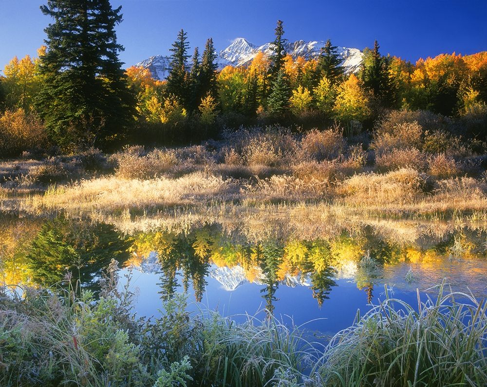 Wilson Peak near Telluride in the Colorado Rocky Mountains art print by Steve Mohlenkamp for $57.95 CAD