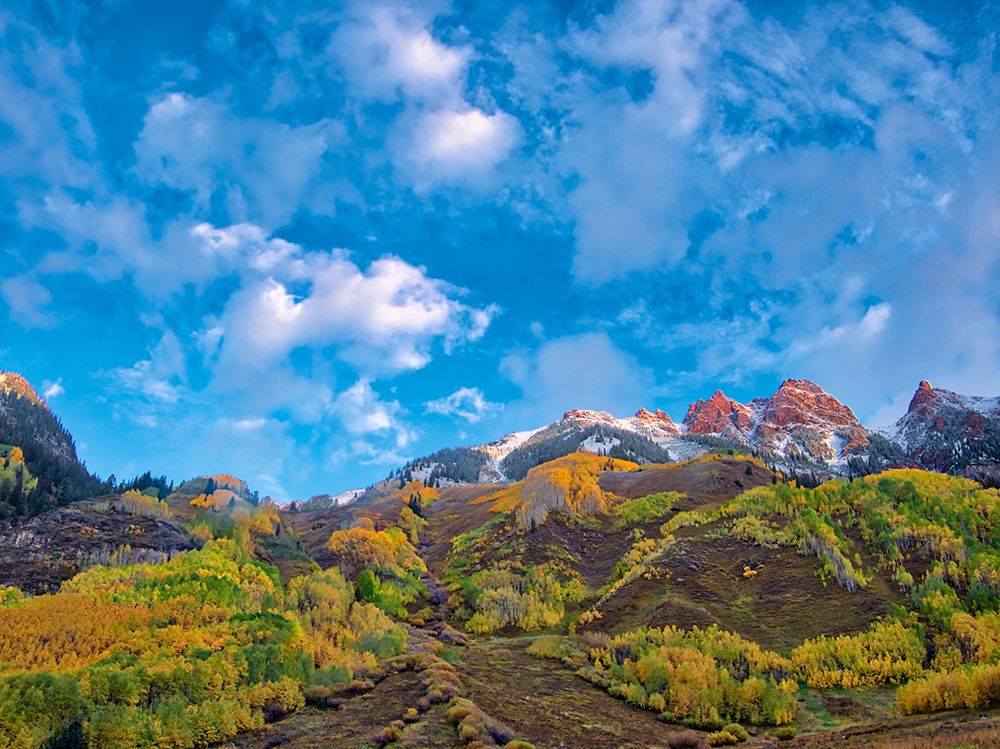 USA-Colorado-Aspen Maroon Bells-snow-covered Aspens and firs art print by Terry Eggers for $57.95 CAD