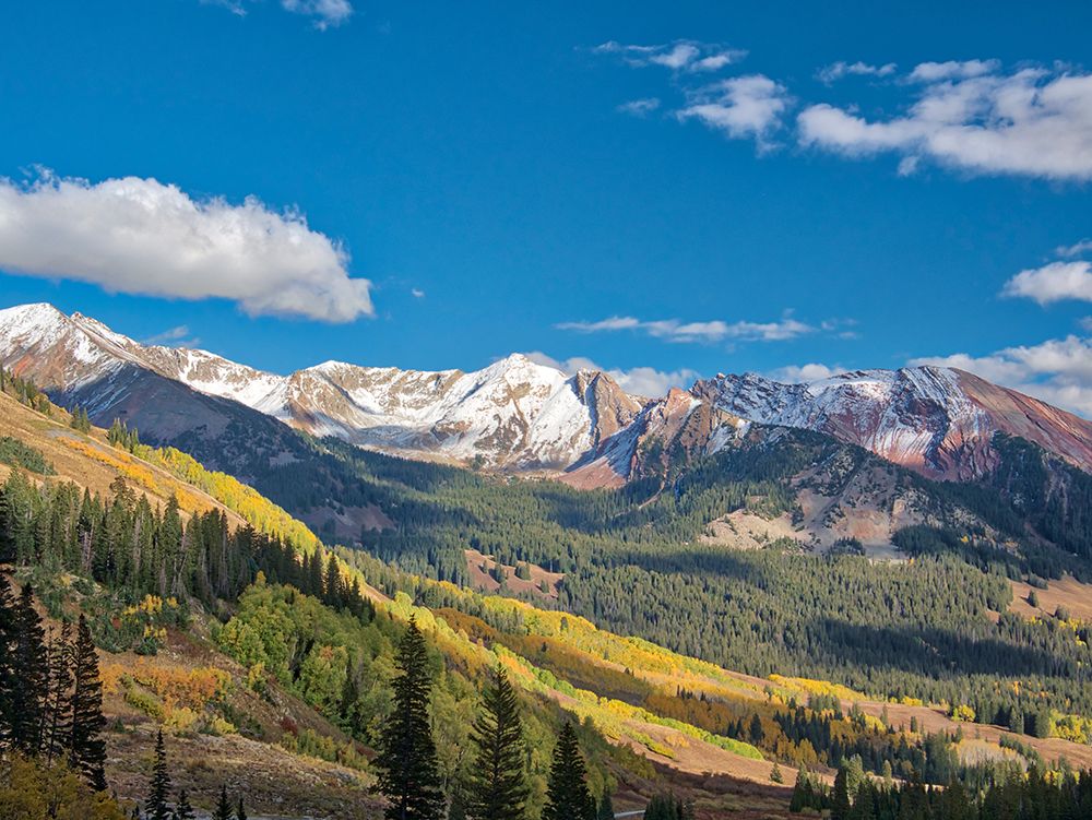 USA-Colorado-Kebler Pass Fall foliage and Aspen trees at their peak-near Crested Butte art print by Terry Eggers for $57.95 CAD