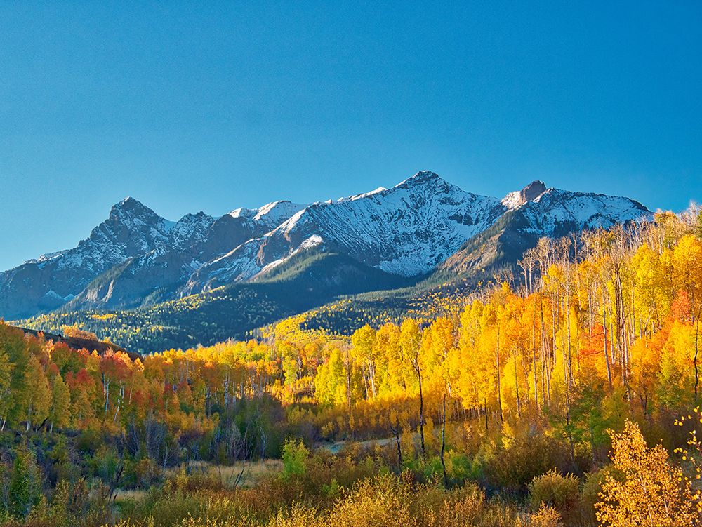 USA-Colorado-Quray Dallas Divide-sunrise on the Mt Snaffles with autumn colors art print by Terry Eggers for $57.95 CAD