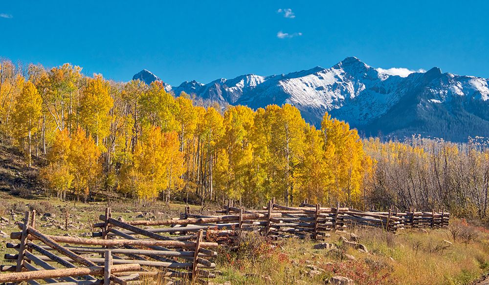 Colorado-Quray Dallas Divide-sunrise on the Mt Snaffles with autumn colors and split rail fence art print by Terry Eggers for $57.95 CAD