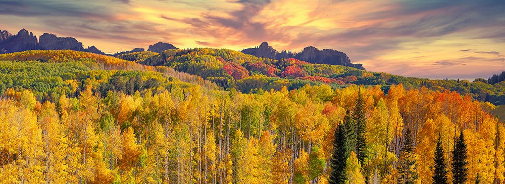 USA-Colorado-Kebler Pass panorama of the autumn color on Kebler Pass art print by Terry Eggers for $57.95 CAD