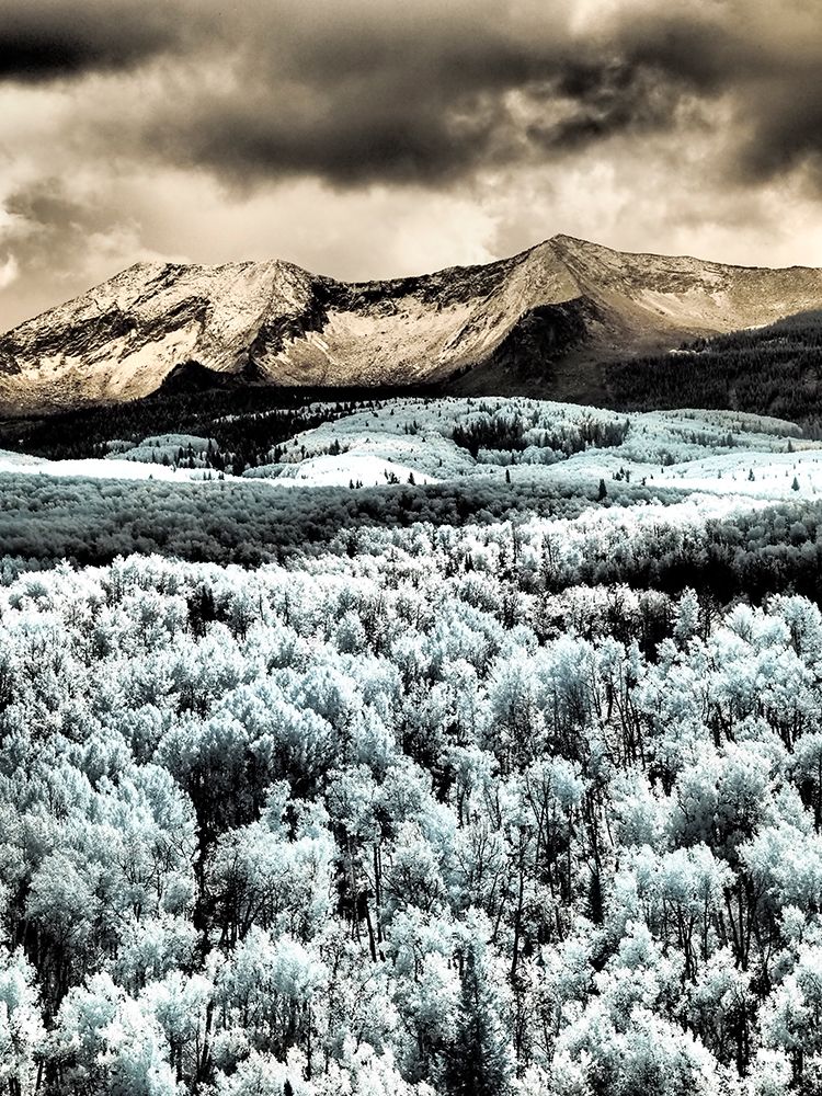 USA-Colorado Infrared of Aspens with mountain range in fresh snow art print by Terry Eggers for $57.95 CAD