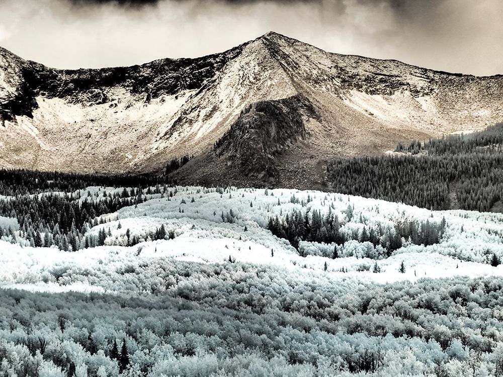 USA-Colorado Infrared of Aspens with mountain range in fresh snow art print by Terry Eggers for $57.95 CAD