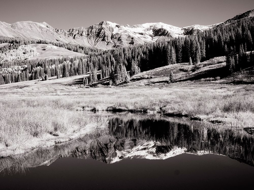 USA-Colorado Infrared of Aspen trees reflecting in small river art print by Terry Eggers for $57.95 CAD