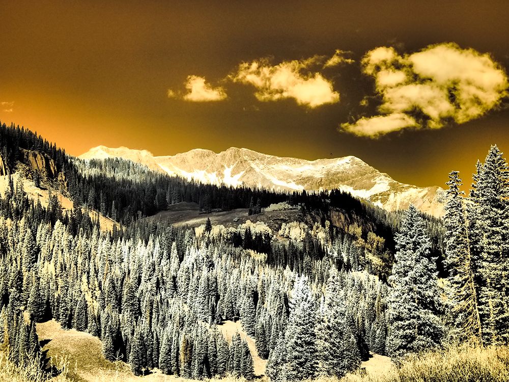 USA-Colorado Infrared of Aspens with mountain range in fresh snow art print by Terry Eggers for $57.95 CAD