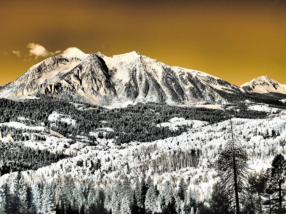 USA-Colorado Infrared of Aspens with mountain range in fresh snow art print by Terry Eggers for $57.95 CAD