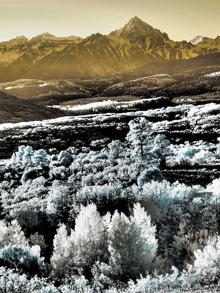 USA-Colorado Infrared of view of Mount Sneffels and Aspen trees art print by Terry Eggers for $57.95 CAD