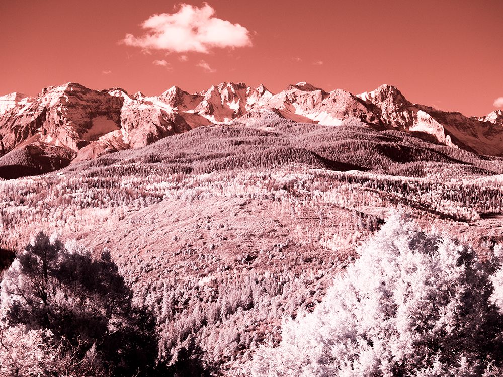 USA-Colorado Infrared of view of Mount Sneffels and Aspen trees art print by Terry Eggers for $57.95 CAD