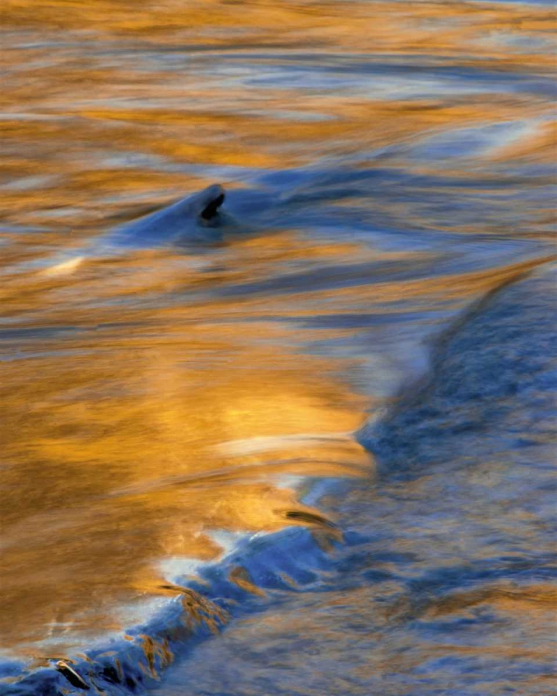 PA, Delaware Water Gap National Recreational Area art print by Jay OBrien for $57.95 CAD
