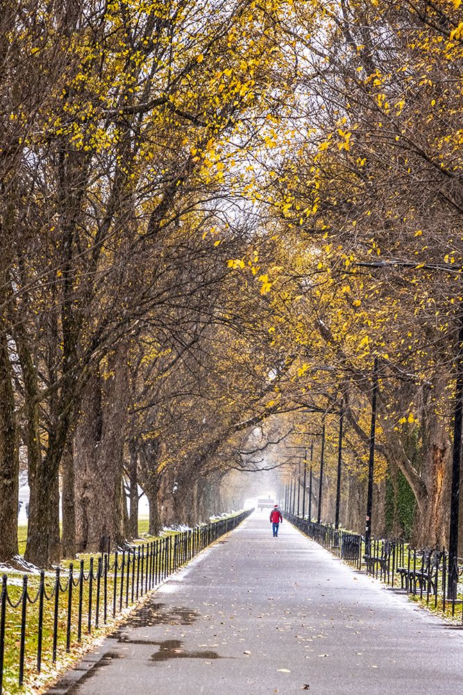 USA-District of Columbia-A snowy afternoon art print by Hollice Looney for $57.95 CAD