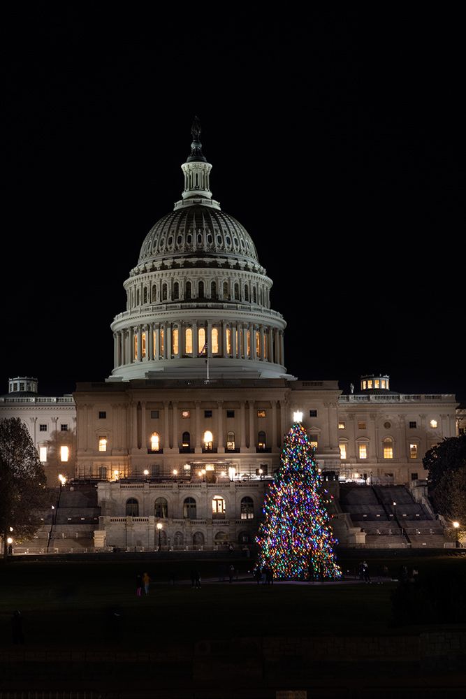 USA, District of Columbia. United States Capitol and Christmas Tree art print by Hollice Looney for $57.95 CAD