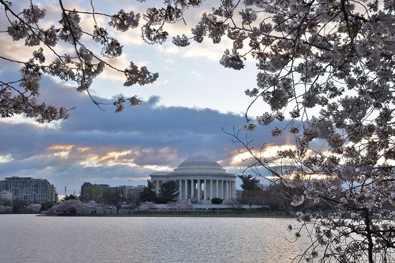 USA, District of Columbia. Jefferson Memorial at Cherry Blossom Time art print by Hollice Looney for $57.95 CAD