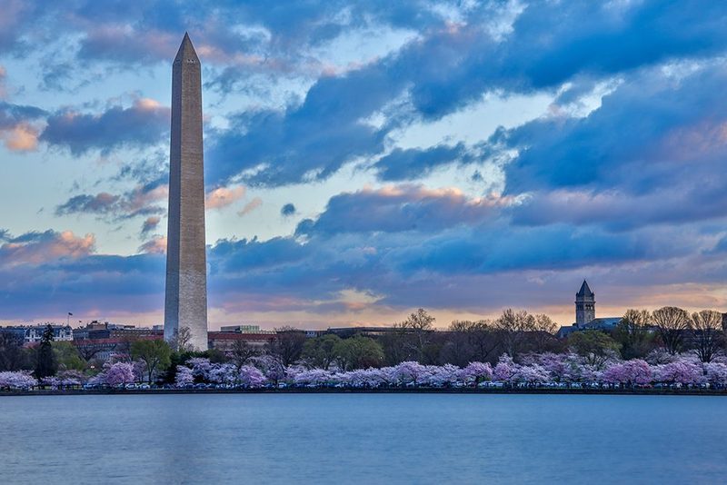 USA, District of Columbia. Washington Monument at Cherry Blossom Time art print by Hollice Looney for $57.95 CAD