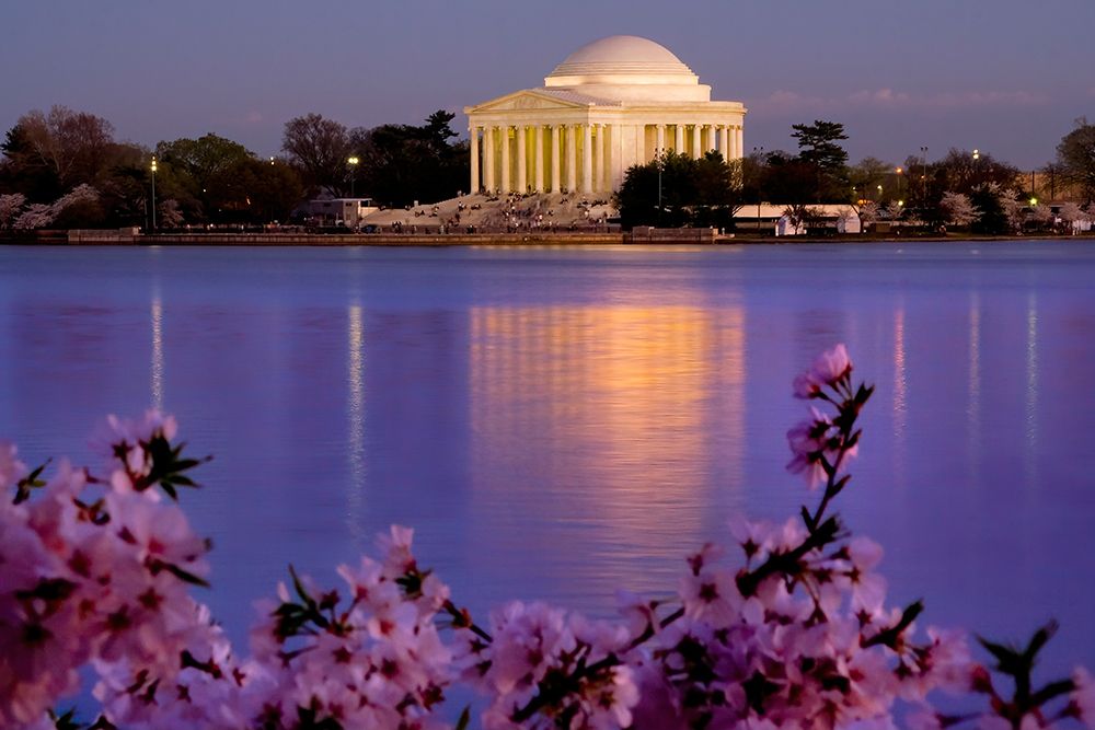 The Jefferson Memorial and Tidal Basin in April with cherry blossoms-Washington DC art print by William Perry for $57.95 CAD