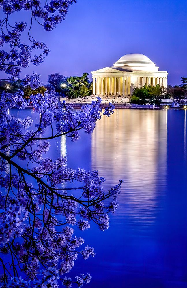 The Jefferson Memorial with cherry blossoms at the Tidal Basin-Washington DC art print by William Perry for $57.95 CAD