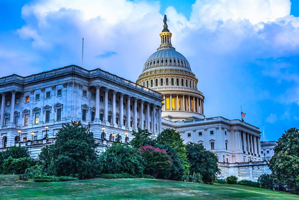 US Capitol, Washington, DC. art print by William Perry for $57.95 CAD