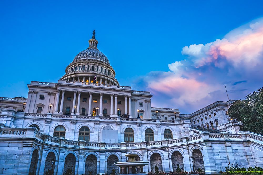 US Capitol, Washington, DC. art print by William Perry for $57.95 CAD