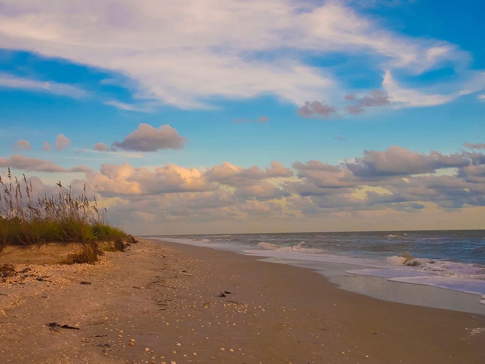 Beach-Sanibel Island-Florida-USA art print by Anna Miller for $57.95 CAD