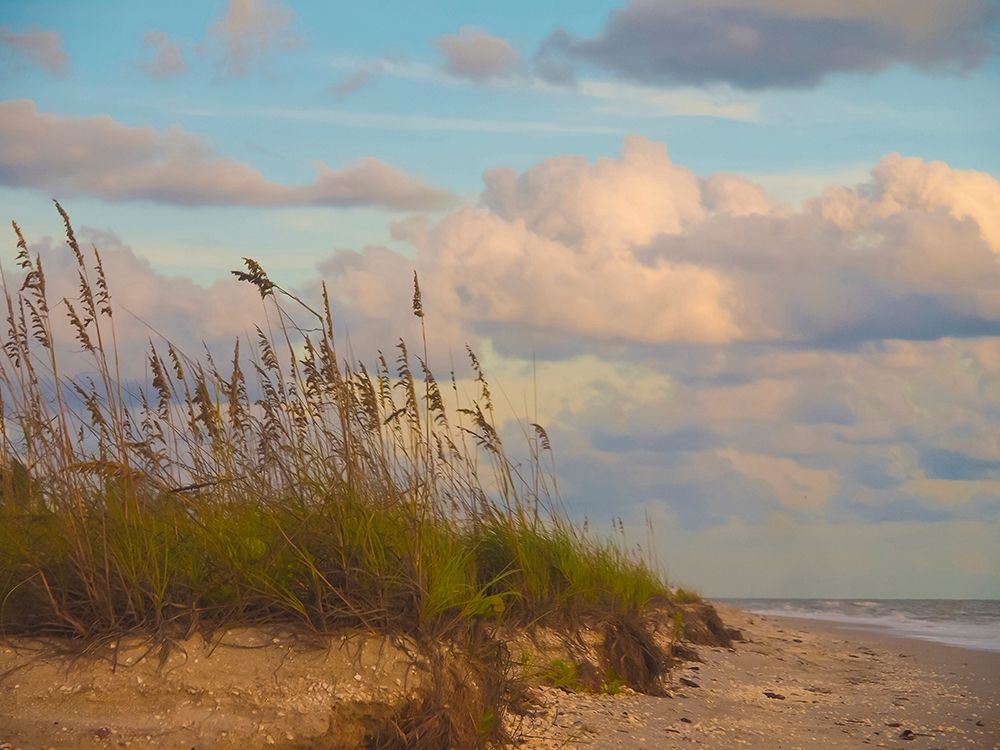 Beach-Sanibel Island-Florida-USA art print by Anna Miller for $57.95 CAD