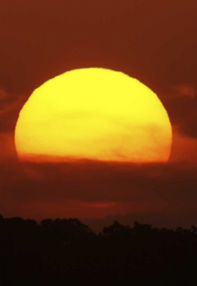 FL, Vierra Wetlands Giant sun at sunset art print by Arthur Morris for $57.95 CAD