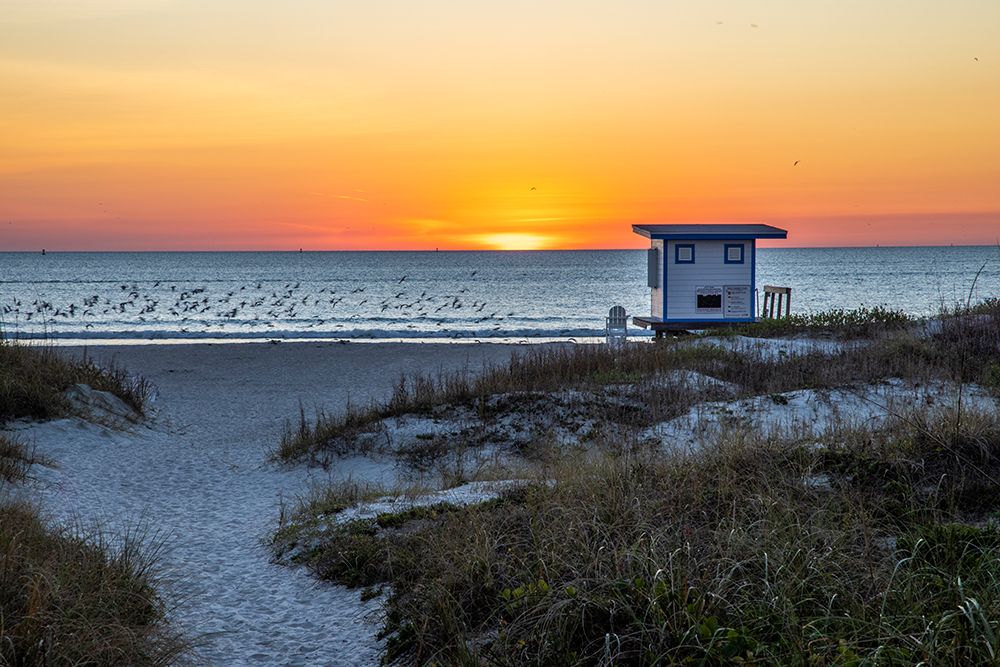 USA-Florida-Port Canaveral-Sunrise over the Atlantic art print by Hollice Looney for $57.95 CAD