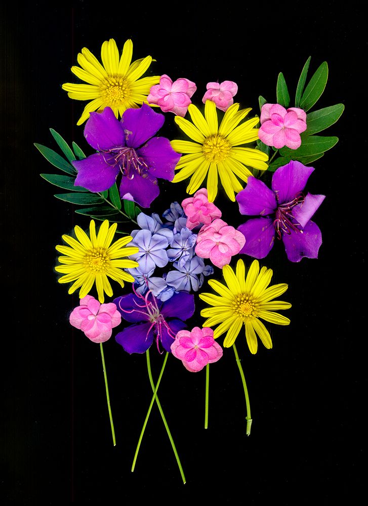 USA-Florida-Celebration-A bouquet of flowers art print by Hollice Looney for $57.95 CAD