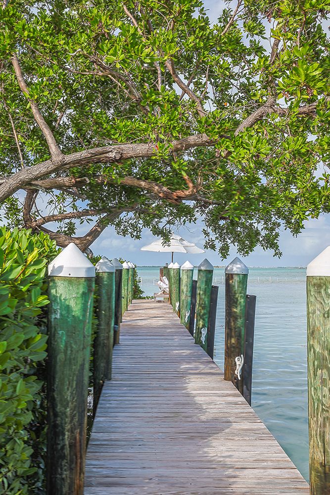 USA, Florida, Little Palm Island art print by Hollice Looney for $57.95 CAD