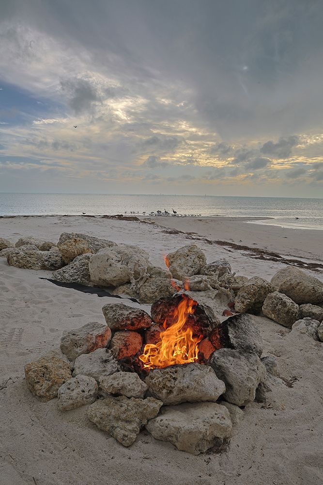 USA, Florida. Campfire on the beach art print by Hollice Looney for $57.95 CAD