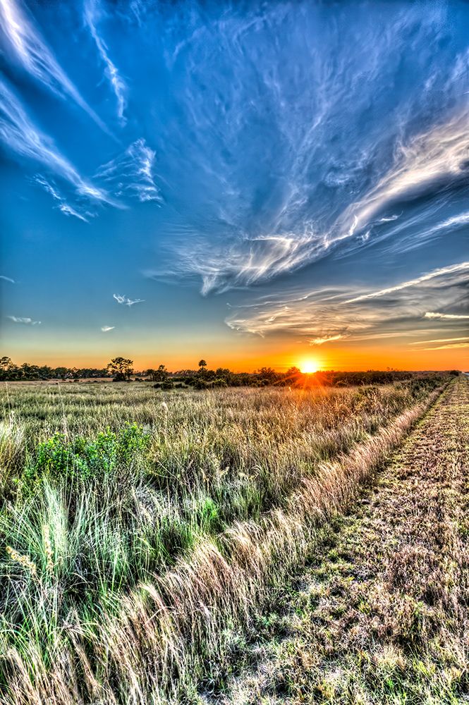 Sun setting over the Big Cypress National Preserve casts a warm glow over the prairie landscape. art print by Larry Richardson for $57.95 CAD