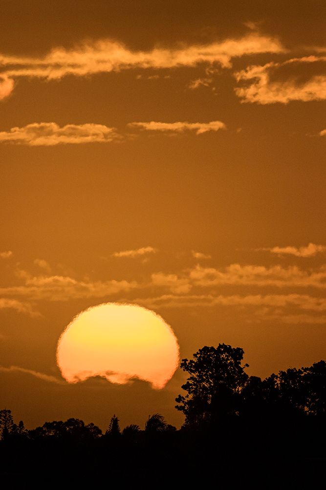 A beautiful sunset in south Florida with a blazing orange sky. art print by Larry Richardson for $57.95 CAD