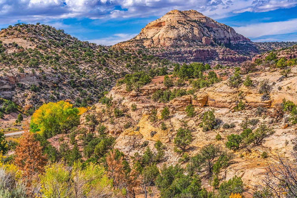 Colorful Autumn-Canyonlands National Park-Needles District-Utah art print by William Perry for $57.95 CAD