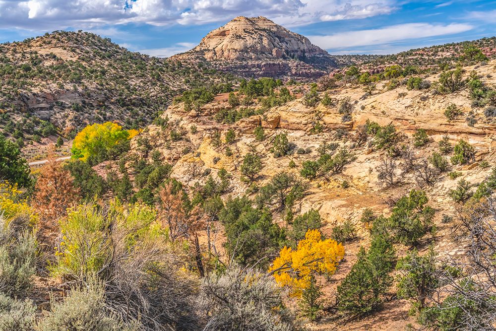 Colorful Autumn-Canyonlands National Park-Needles District-Utah art print by William Perry for $57.95 CAD