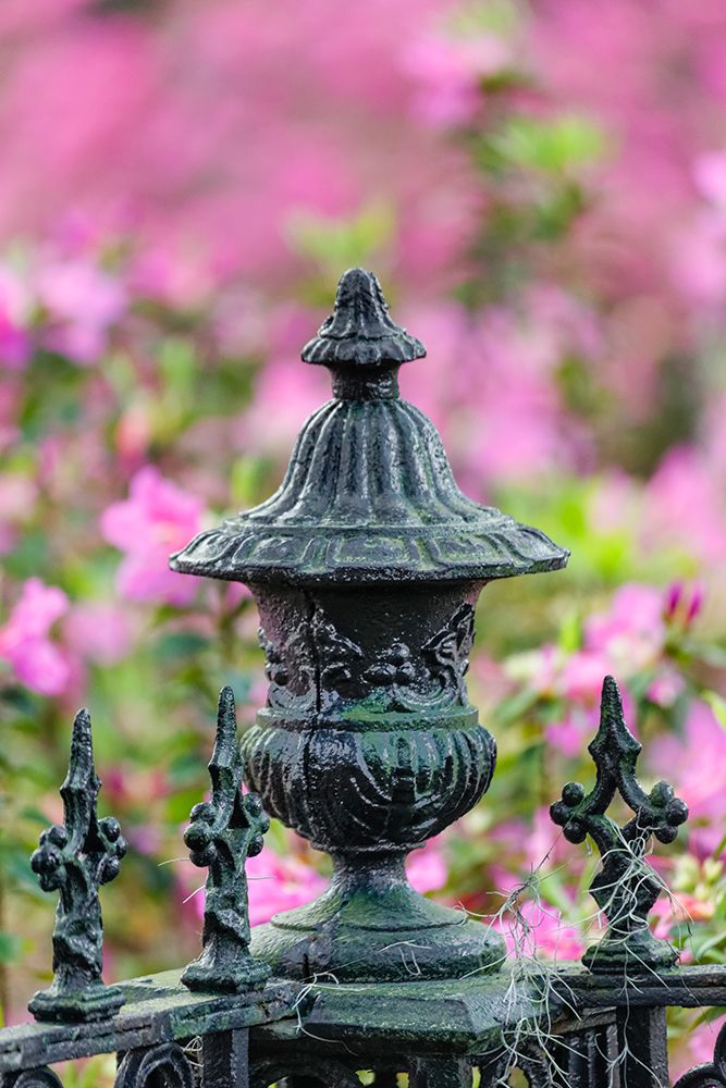 Iron fence and azaleas in full bloom-Bonaventure Cemetery-Savannah-Georgia art print by Adam Jones for $57.95 CAD