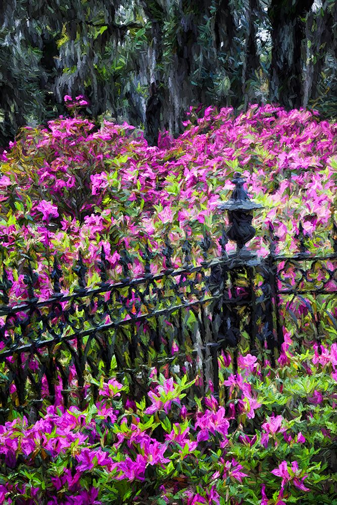 Wrought Iron fence and azaleas in full bloom-Bonaventure Cemetery-Savannah-Georgia art print by Adam Jones for $57.95 CAD