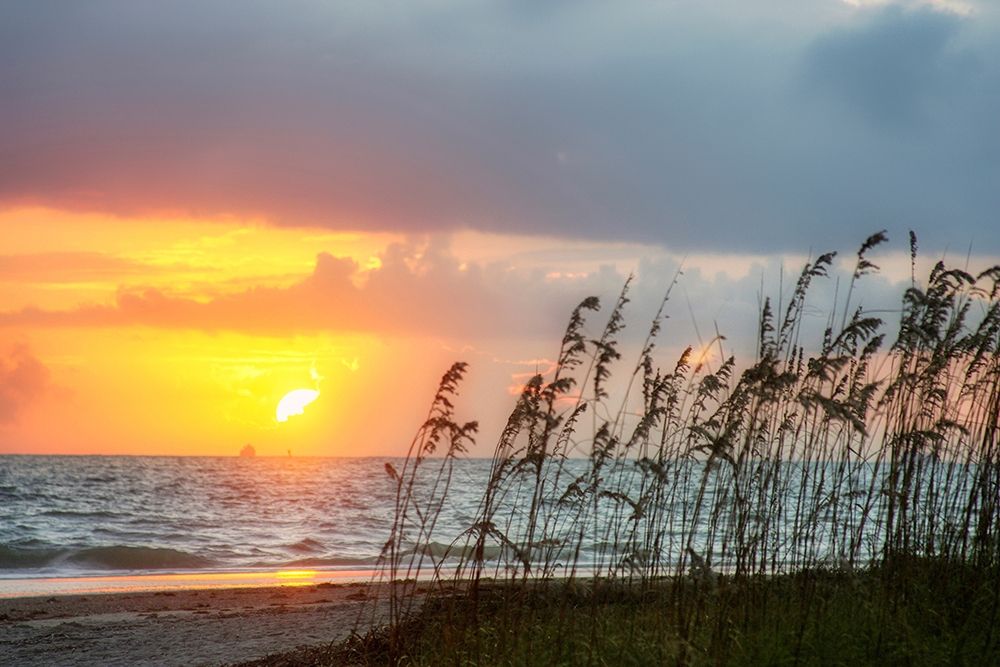 Sunrise on Atlantic Beach art print by Anna Miller for $57.95 CAD